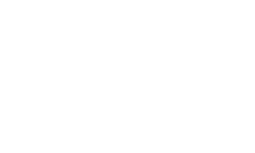 Noshirt logo